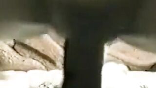 "Hot Milf Rides A Big Dick In POV Style"