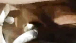 "Hot Wife's Secret Toy Play - Japanese Subtitled"