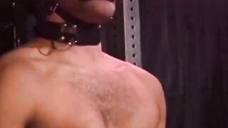 "Muscle Stud's Bondage Striptease - BDSM Domination with Blindfolded Submissive"