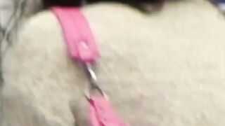 "Japanese Babe - Exotic Beauty Fingering Herself in HD"
