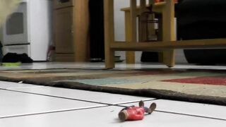 "Tiny People Crushed Under Giant Feet of Sex Goddess Eliza Jane"