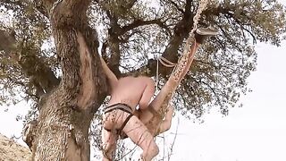 Twinks Endure Hardcore Fucking in Public - Foot Worship & Ass-Fuck