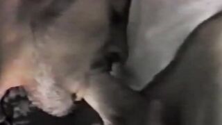 RetroDudes.com - Vintage muscular jock enjoys hard throatfuck through glory hole