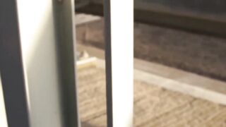 Outdoors Blow Job - Dude Needs Cash Badly But Gets A Surprise Facial