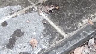 Public Peeping - Bold Teenagers Get Famous Exposing Themselves