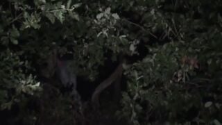 Thierry's Wild Forest Adventure - Anal Sex with Picked-Up Stranger
