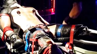 Bondage Domination - Ball-Tied Submissive Blonde Babe Deep Thrills Fucked Hard