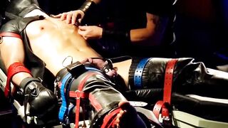 Bondage Domination - Ball-Tied Submissive Blonde Babe Deep Thrills Fucked Hard