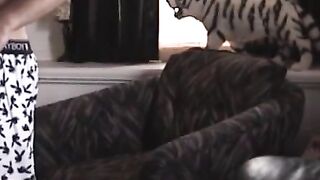 Paulies' Heavy Load - Exclusive Solo Masturbation Session