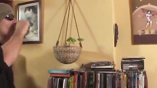 3way FFM threesome action featuring transgender babe & her two studs
