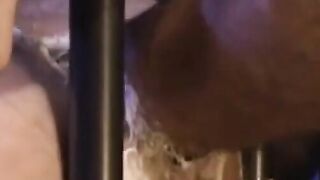 Fisting Frenzy! Long Dick Pounded by Hunks in Steel Bars