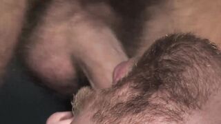 Hair Bear's Sensuous Blowjob & Anal Bashing
