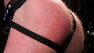 Big Bear" Colby Jacksons' Torments - BDSM Domination of Submissive Man by Dominatrix Donna Argia
