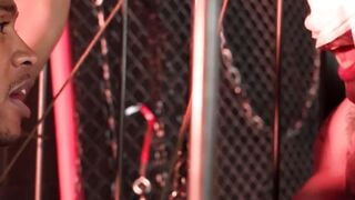 BDSM Bondage Slave Training with Clippers - Domination of Jake Water's & David Strom
