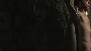 Sexy Redhead Babe Enduring Hardcore Bondage Flogging And Spanking