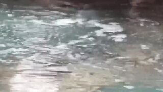 Twinked Out Twunks #2: Pool-Side Raw Fuck with Hot Latin Guys