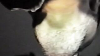 Vintage Jocks - Throat-Fucking Action in Glory Hole