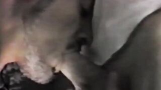Vintage Jocks - Throat-Fucking Action in Glory Hole