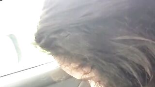 Car Sex Sirens - Hot Brunette Babe Gives A Sloppy Deepthroat And Creamped