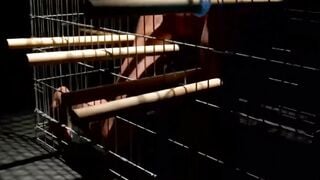 Blonde Bondage Slave Girl Faceslapped And Dominated By Dominatrix In BDSM Dungeon