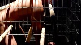 Blonde Bondage Slave Girl Faceslapped And Dominated By Dominatrix In BDSM Dungeon