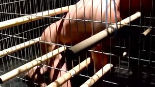 Blonde Bondage Slave Girl Faceslapped And Dominated By Dominatrix In BDSM Dungeon