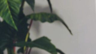 HOT STUFF - Muscular Guys Grant Duciatti & Chris White Fucked Hard On The Bed