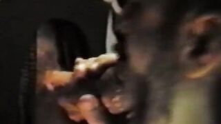 Retro Glory Hole - Thick Dick Pounded Hard By Horny Blonde Babe