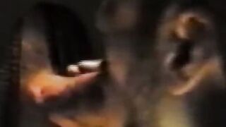 Retro Erotica - Glory Hole Thrill Seeker Gets Fucked And Facialed