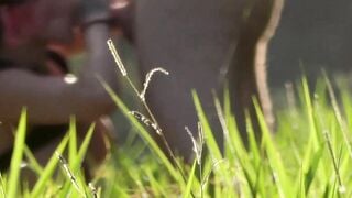 Public-Sex" or "Outdoor Public Sex Adventure", tagged with #publicsex2019, #outdoors, #cumshot, #blowjob, #pussylicking, #masturb