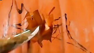 Halloween Special - Private Treats For You! (Billy & Chainsaw)