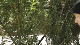 Throated - Big Dick Thrashing Petite Blonde's Ass