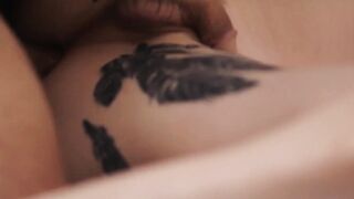 Tattooed She-MALE Anal Seductress" or "Anal Seductions by Inked Transsexuals