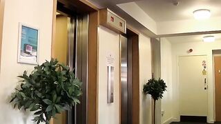 Anal Frenzy in Leased-Out Space" or "Office Anal Adventures - Gay Couple Fucking Hardcore!
