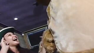 Bachelor Party Gone Wild! Hot Babe's Stripper Challenge Leading To A Nasty Orgy