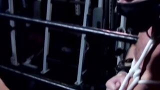 Dominatrix Submission Training - Wrestling Mixed Martial Arts (MMF)