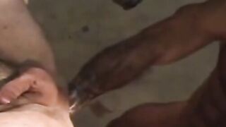 Anal Exploration - Wide-Eye Blonde Babe Fucked Hard By Black Stud