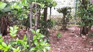 JapanTeenLand - Outdoor Pee Compilation with Young Japanese Girls