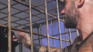 Dominatrix BDSM Training Session With Older Man And Young Guy
