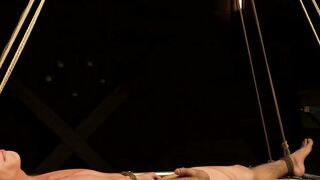 Bondage BDSM Domination - Ball Zapper Electrosex Sessions with Big Dick Pornstar Chris Wilde