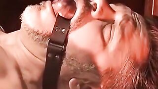 Rough Anal Play with Baseball Bat - Bondage Domination of Submissive Man