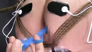 Teen MILF Facesitting Blowjob & Creampie Compilation with Top Pornstars