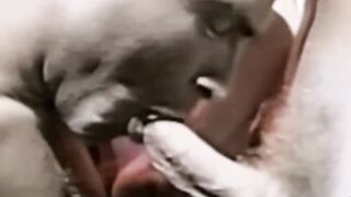 Raw Anal Action - Twinks Raw Fucking in Bedroom