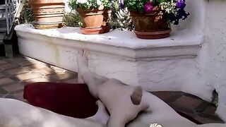 Outdoor Gay Sex Romance - Hunks Fucking Bareback in Nature