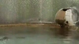 Hot Milf Rides A Huge Dick In The Shower - Japanese Role Play