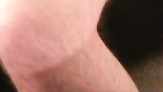 Hair Bear's Solo Masturbating Adventure