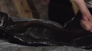 Boy Dungeons Domination Session with BDSM Slave Submissive Training