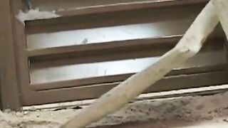 Twink Construction Workers Fucked Hard In The Ass" or "Hardcore Anal Sex Between Twunks - Raw Dogging It!