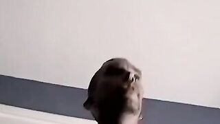 Beard-Fucking Fist Fuck Marathon with Shower Sex