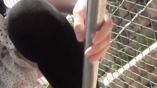 Asian Bombshell Rides A Pole In Her Hairy Bush - Exotic Dancer Fucks The Audience